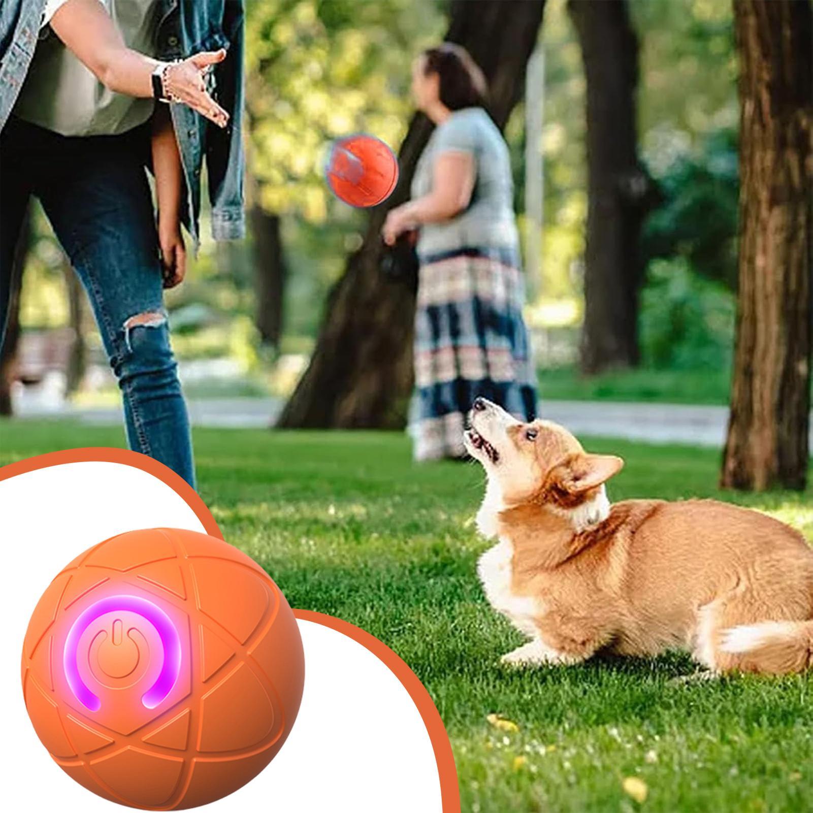 Automatic Moving Dog Ball - ألعاب الكلب التفاعلية الذكية للمضغ العدوانية،