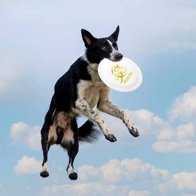 Flying Disc Dog Training Toy - ألعاب قرص طائر مقاوم للدغة من