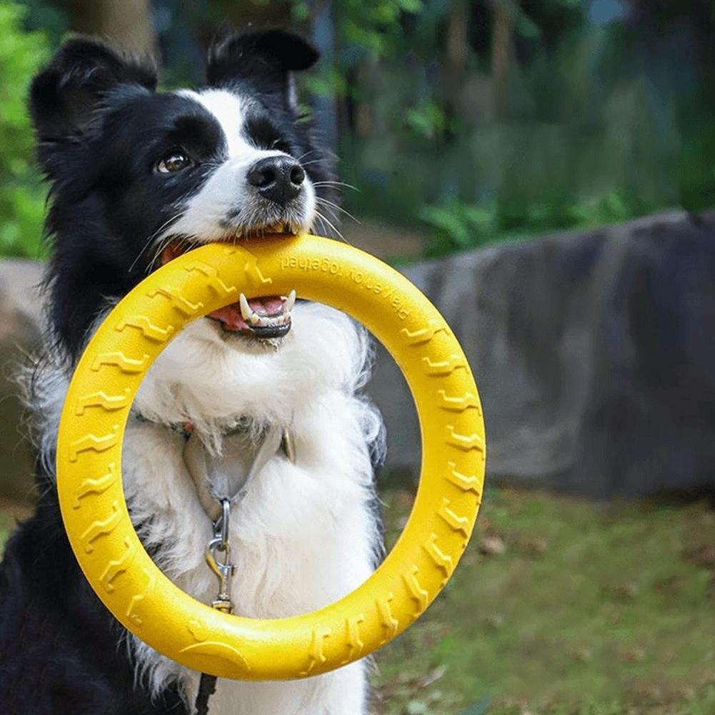 Indestructible Dog Chew Toy - ألعاب حلقات للكلاب غير قابلة للتدمير،