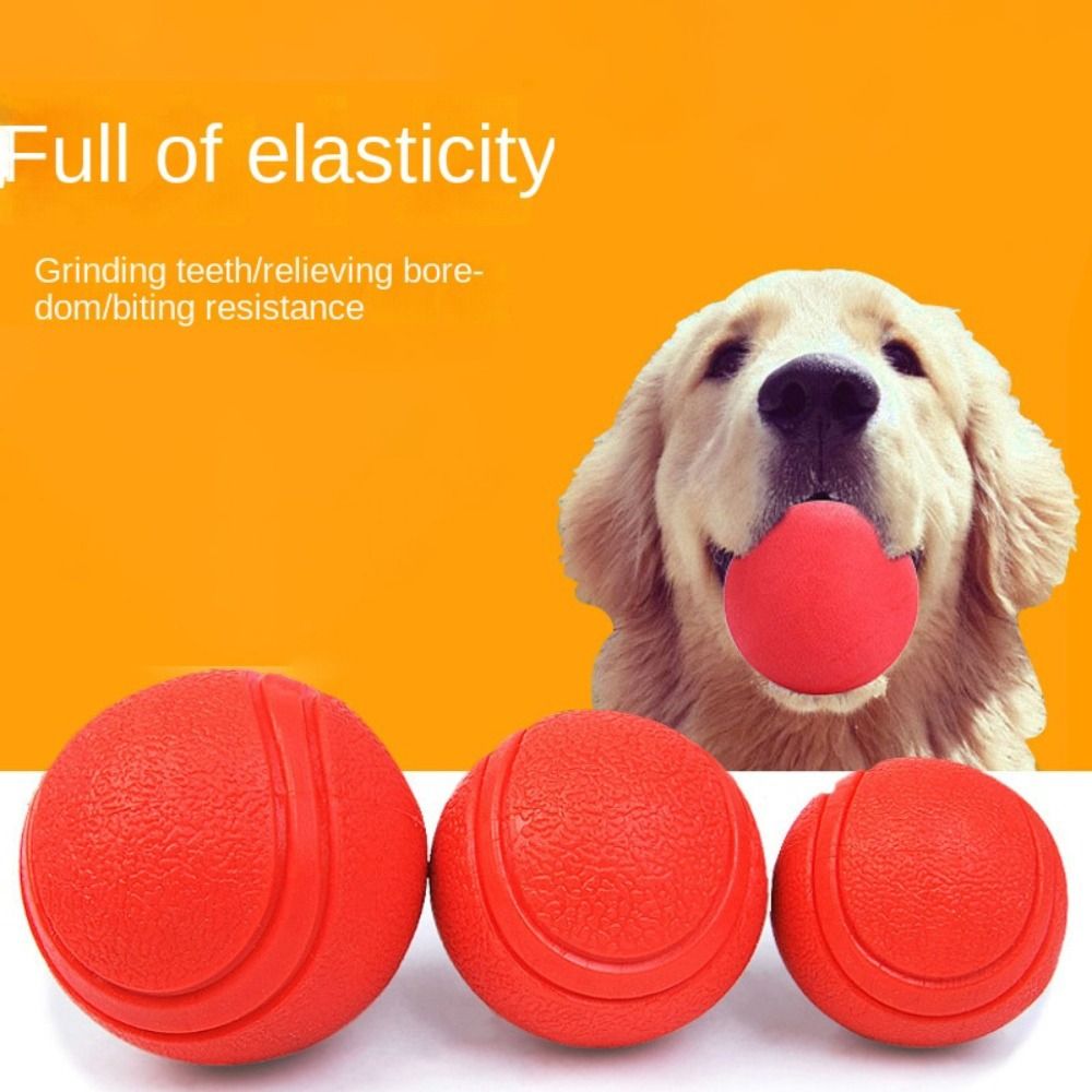Indestructible Dog Chew Toy - كرة صلبة مطاطية للحيوانات الأليفة ،