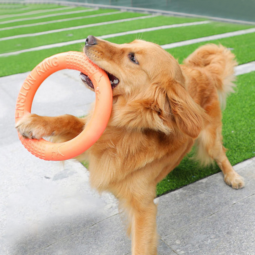 1 ، ألعاب كلاب برتقالية اللون  - مراجعة Suction Cup Dog Tug Toy وسعره