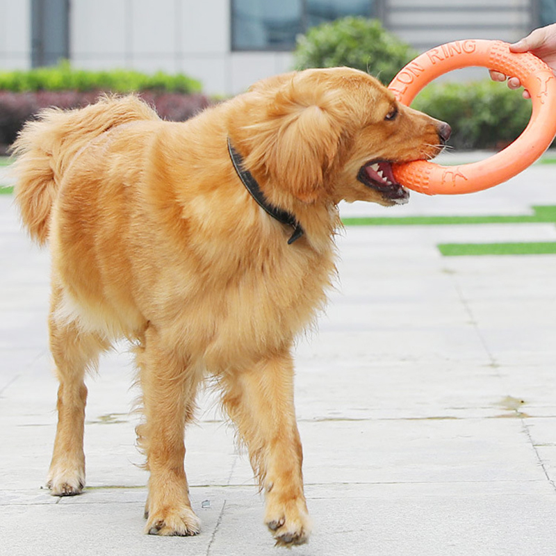 1 ، ألعاب كلاب برتقالية اللون  - مراجعة Suction Cup Dog Tug Toy وسعره