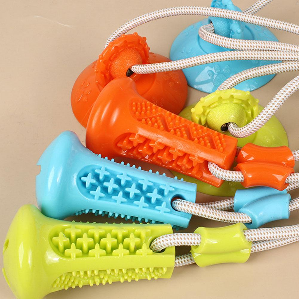 لعبة مضغ للكلاب بكأس شفط، لعبة - مراجعة Suction Cup Dog Tug Toy وسعره