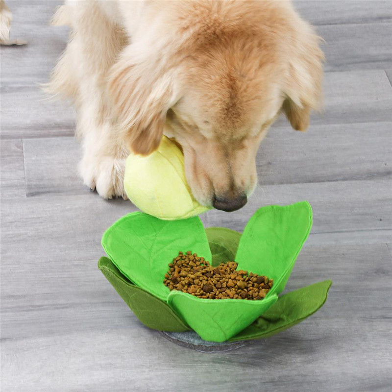 الحيوانات الأليفة الكلب واق من - مراجعة Snuffle Mat For Dogs وسعره