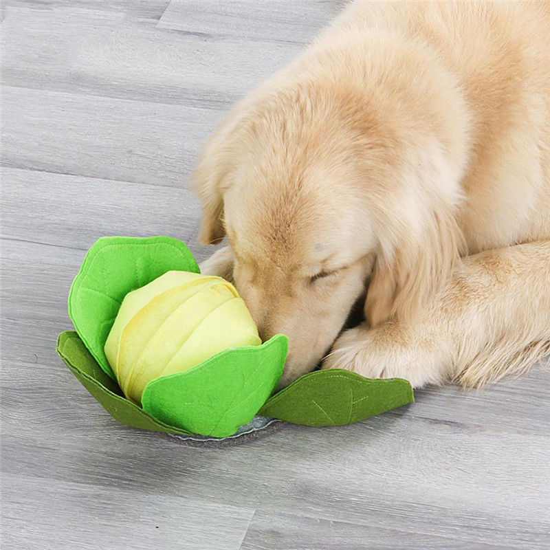الحيوانات الأليفة الكلب واق من - مراجعة Snuffle Mat For Dogs وسعره