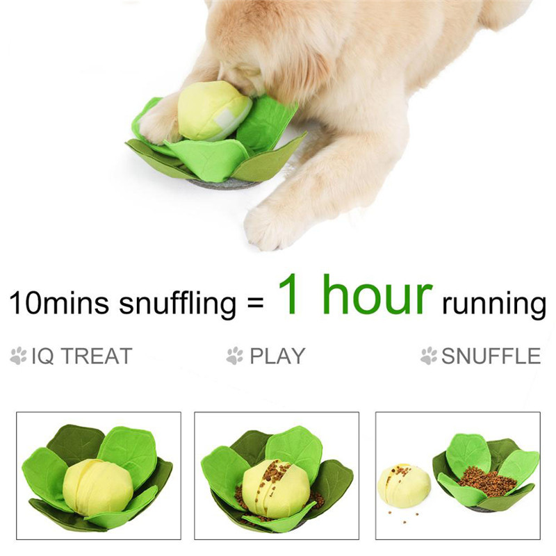 الحيوانات الأليفة الكلب واق من - مراجعة Snuffle Mat For Dogs وسعره