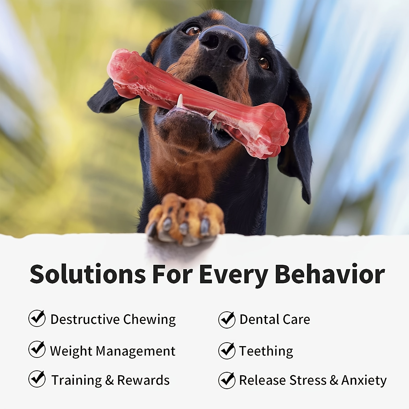 لعبة عض للكلاب من السيليكون، م - مراجعة Indestructible Dog Chew Toy وسعره