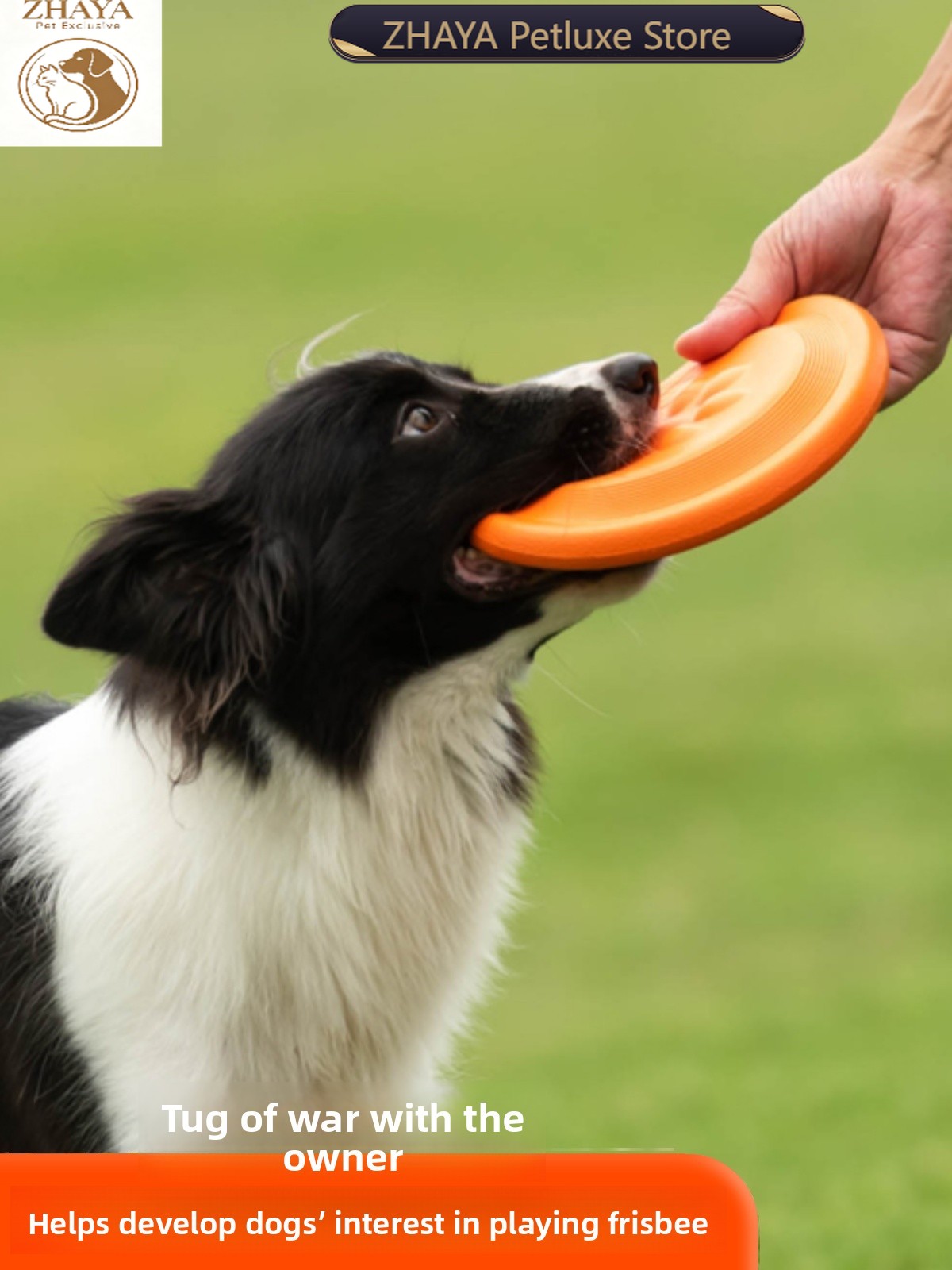 قرص طائر للكلاب ناعم ومتين ومق - مراجعة Flying Disc Dog Training Toy وسعره