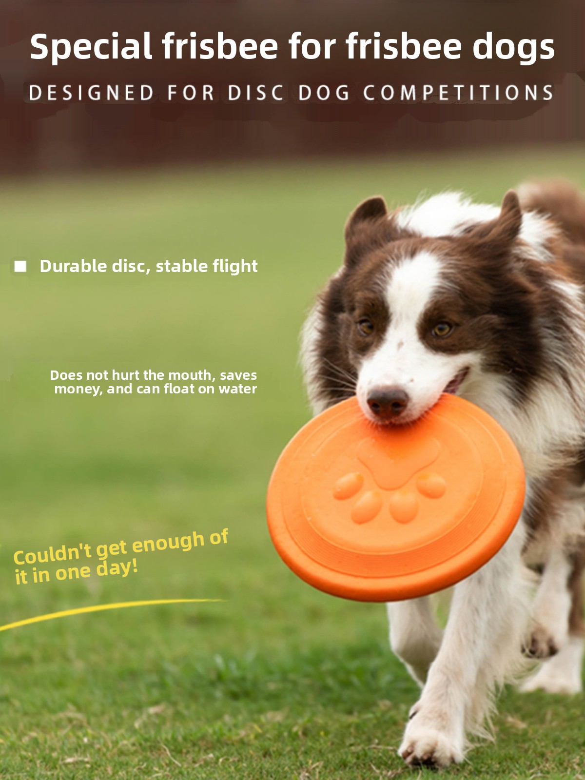 قرص طائر للكلاب ناعم ومتين ومق - مراجعة Flying Disc Dog Training Toy وسعره