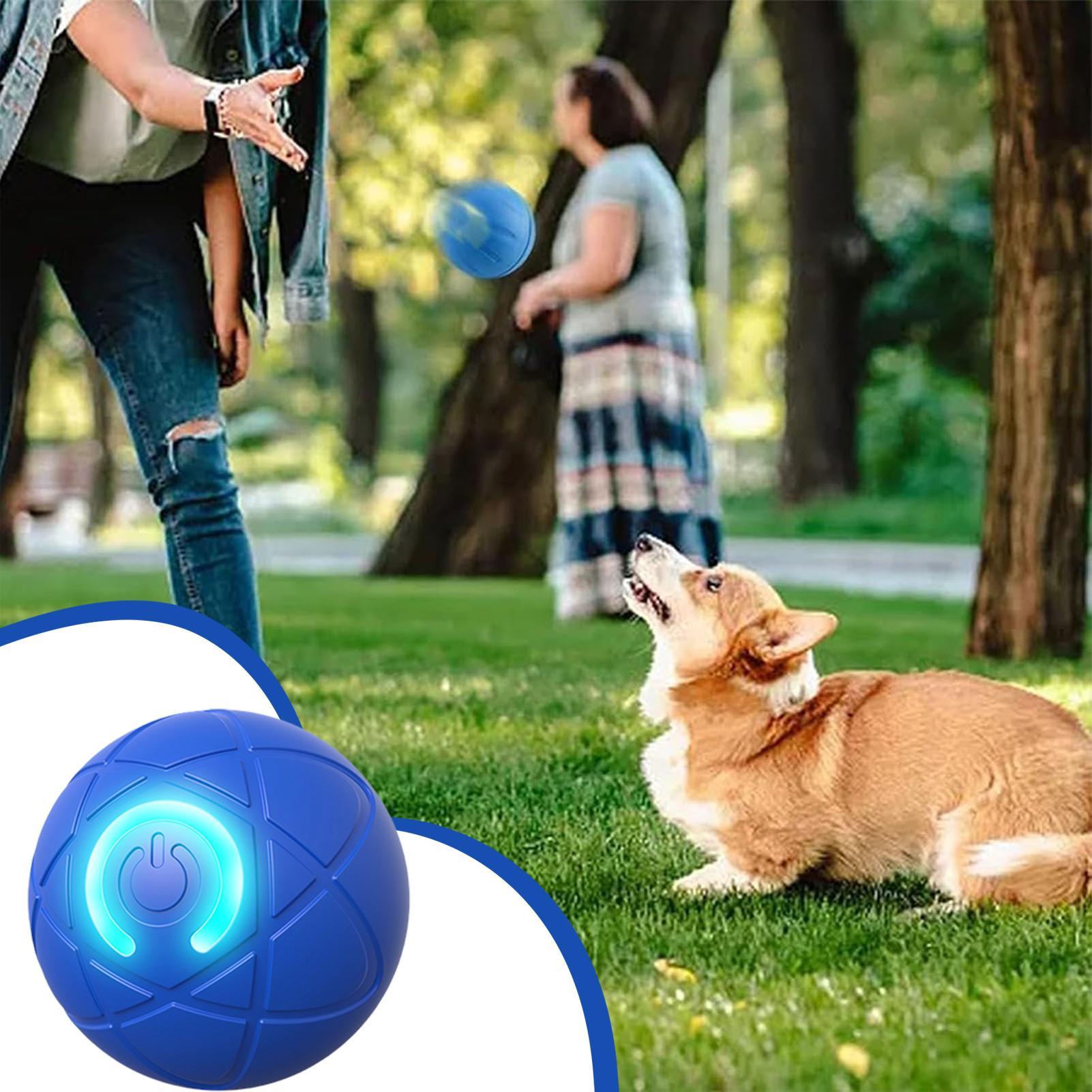 ألعاب ذكية تفاعلية للكلاب المع - مراجعة Automatic Moving Dog Ball وسعره