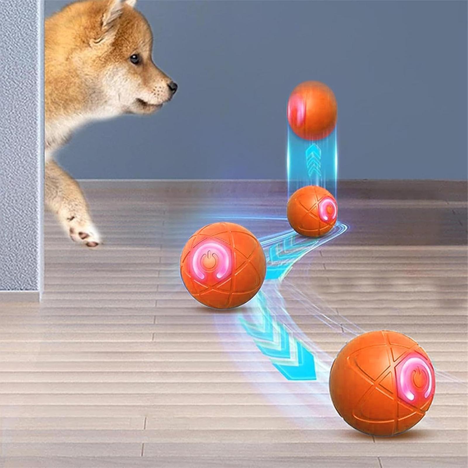 ألعاب ذكية تفاعلية للكلاب المع - مراجعة Automatic Moving Dog Ball وسعره