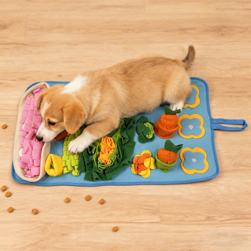 سجادة تدريب الكلاب للعب والتحف - مراجعة Snuffle Mat For Dogs وسعره