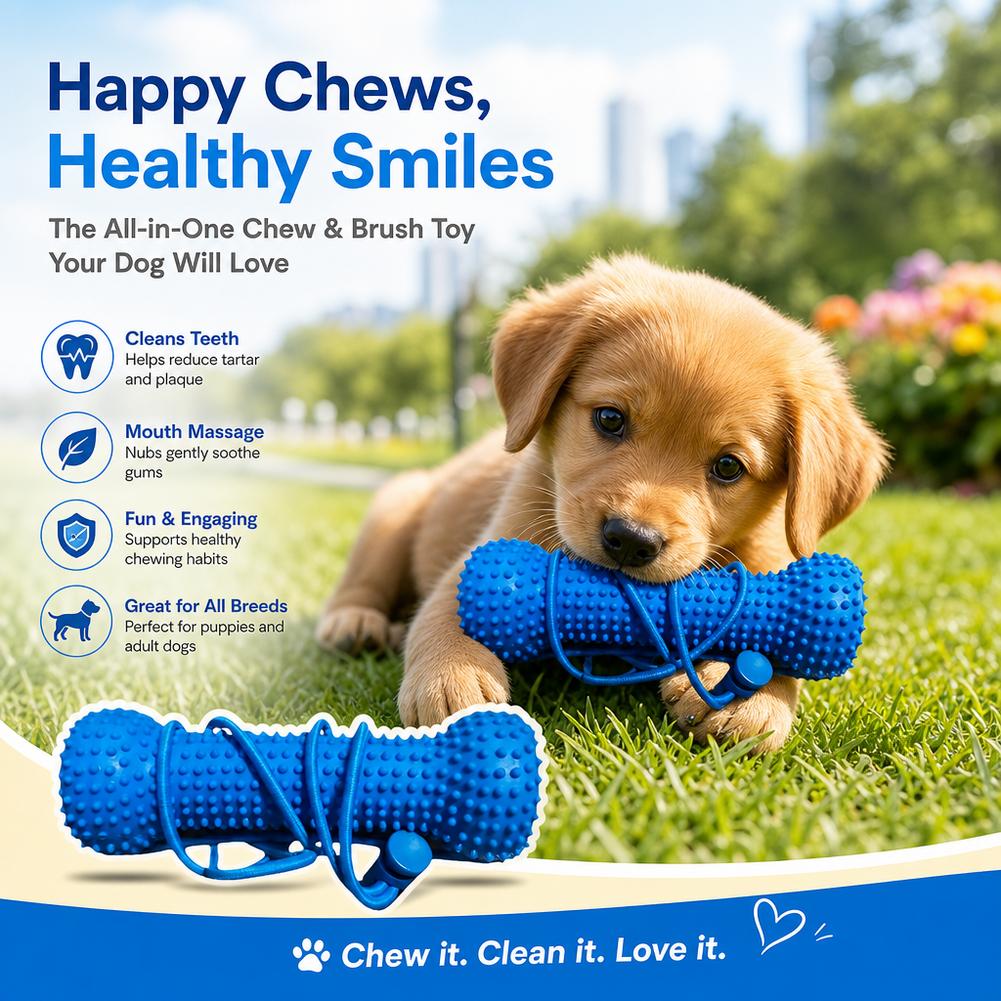 لعبة مطاطية لتنظيف أسنان الكلا - مراجعة Teeth Cleaning Dog Chew Bone وسعره
