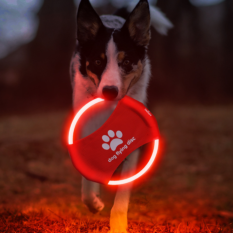 قرص طائر للكلاب LED، ألعاب الح - مراجعة Flying Disc Dog Training Toy وسعره
