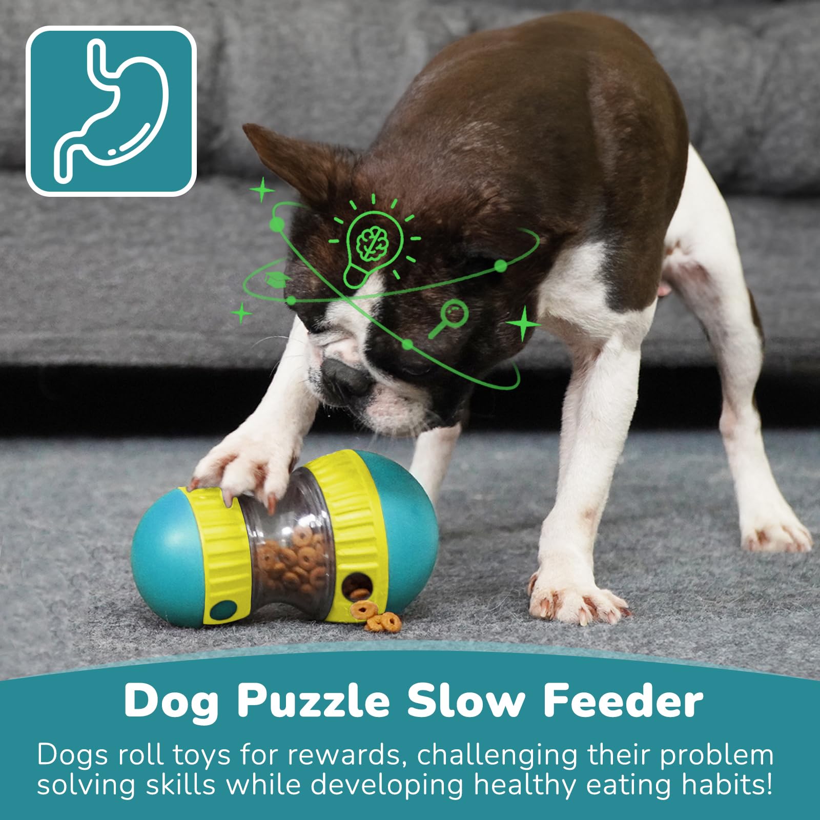 ألعاب الكلاب وكرة التغذية البط - مراجعة Dog Puzzle Feeder Toy وسعره