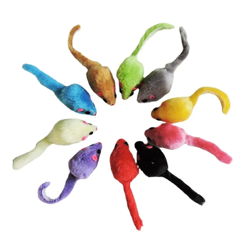 8 قطع من ألعاب القطط الفروية ا - مراجعة Catnip Interactive Plush Mouse وسعره