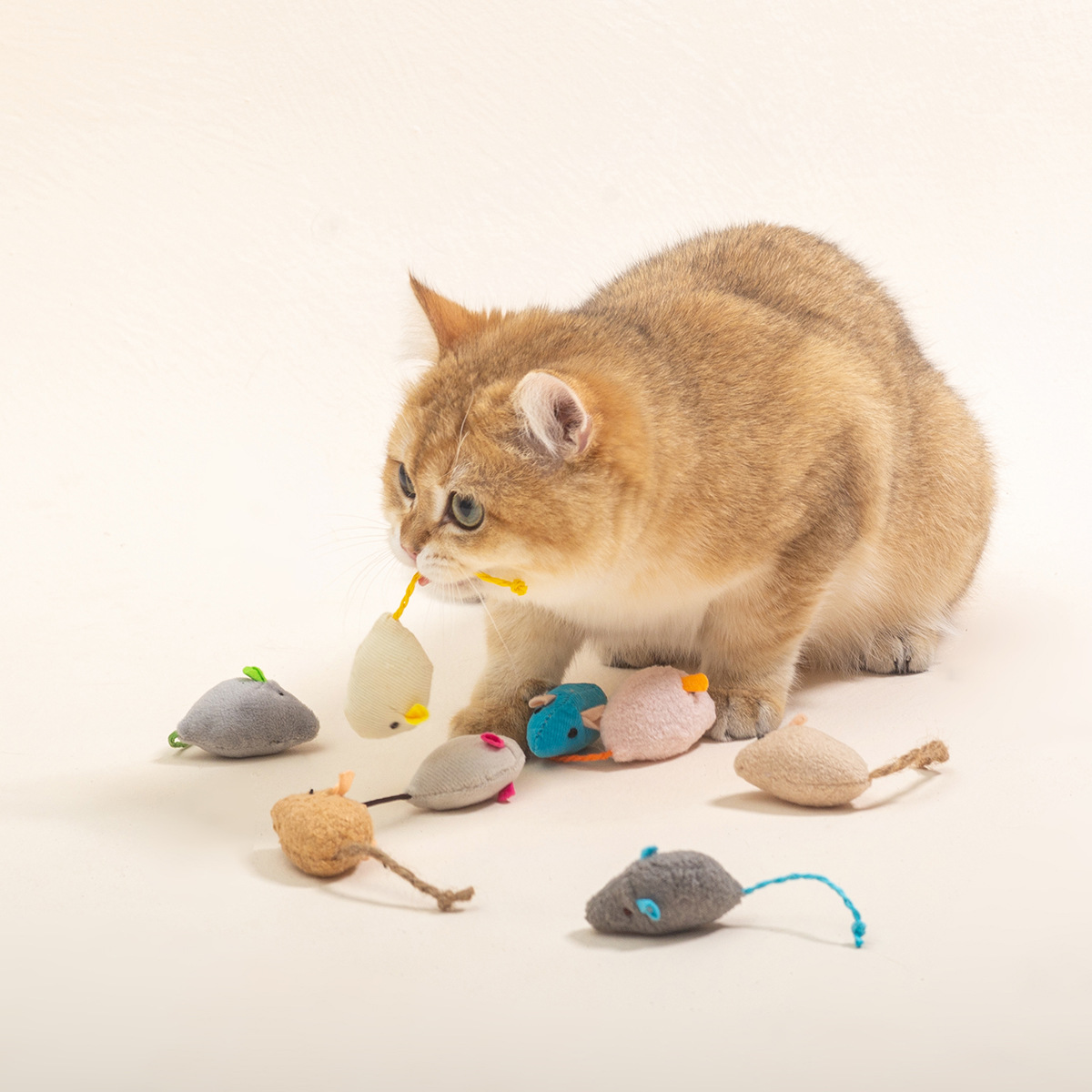 16 قطعة من ألعاب الفئران القطي - مراجعة Catnip Interactive Plush Mouse وسعره