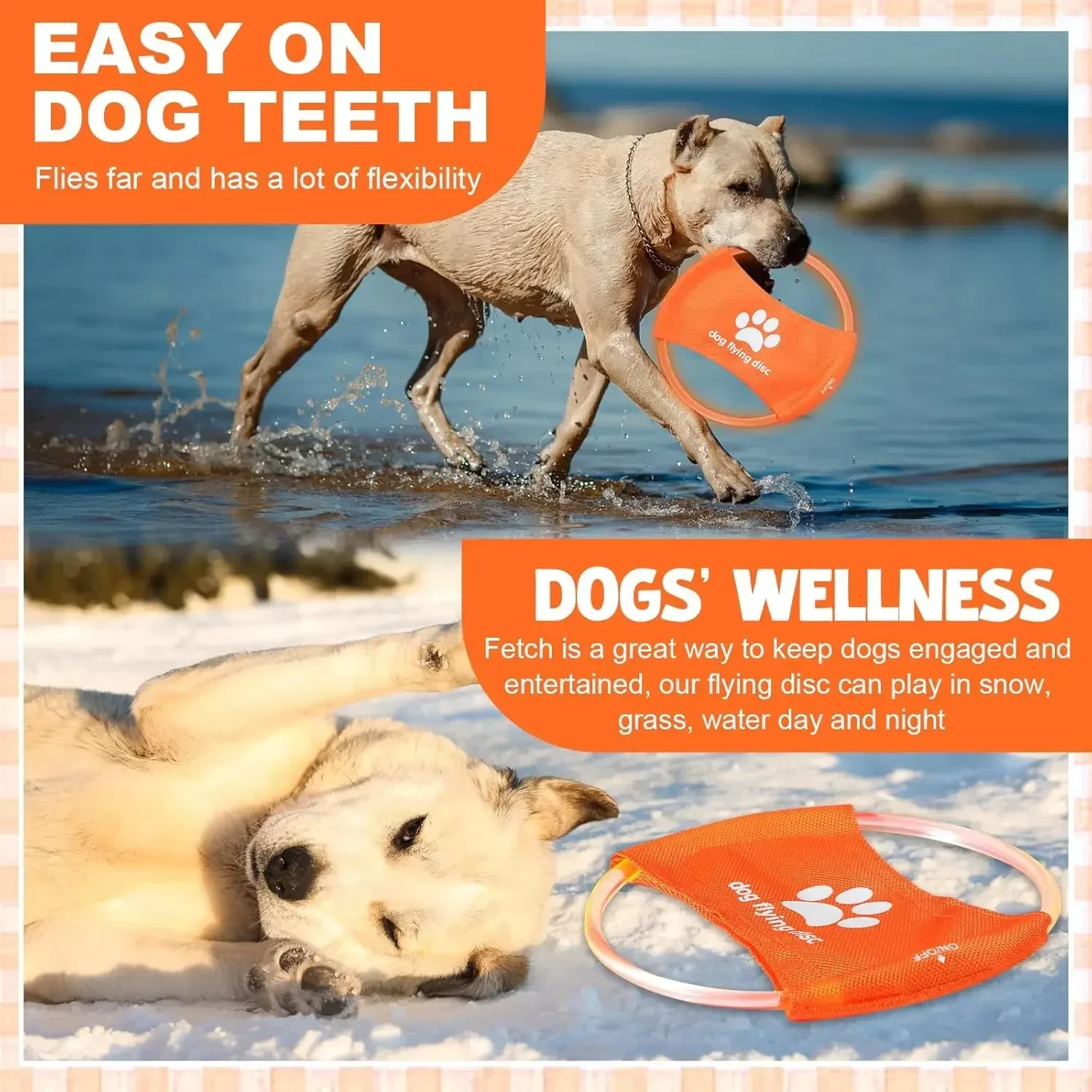 لعبة الكلب LED متوهجة قابلة لإ - مراجعة Flying Disc Dog Training Toy وسعره
