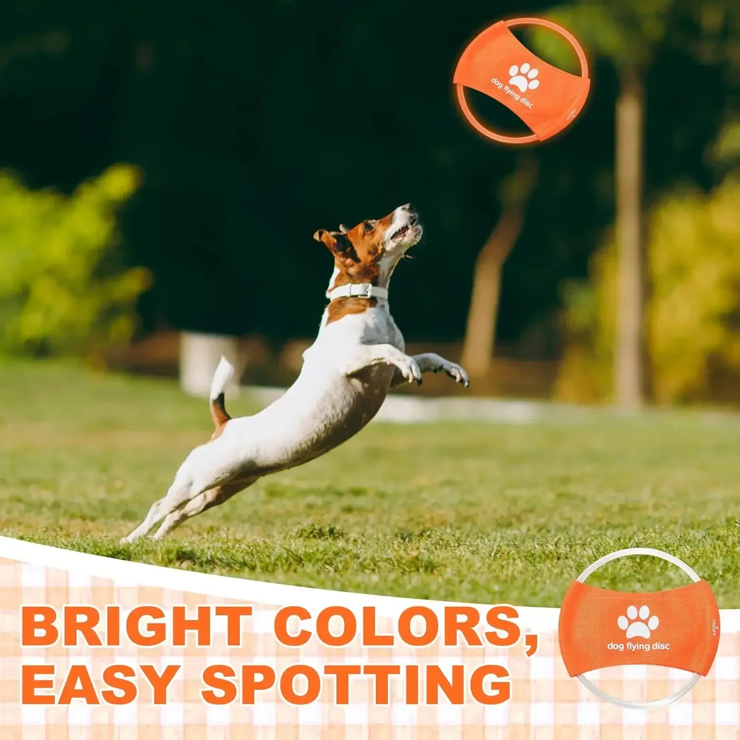 لعبة الكلب LED متوهجة قابلة لإ - مراجعة Flying Disc Dog Training Toy وسعره