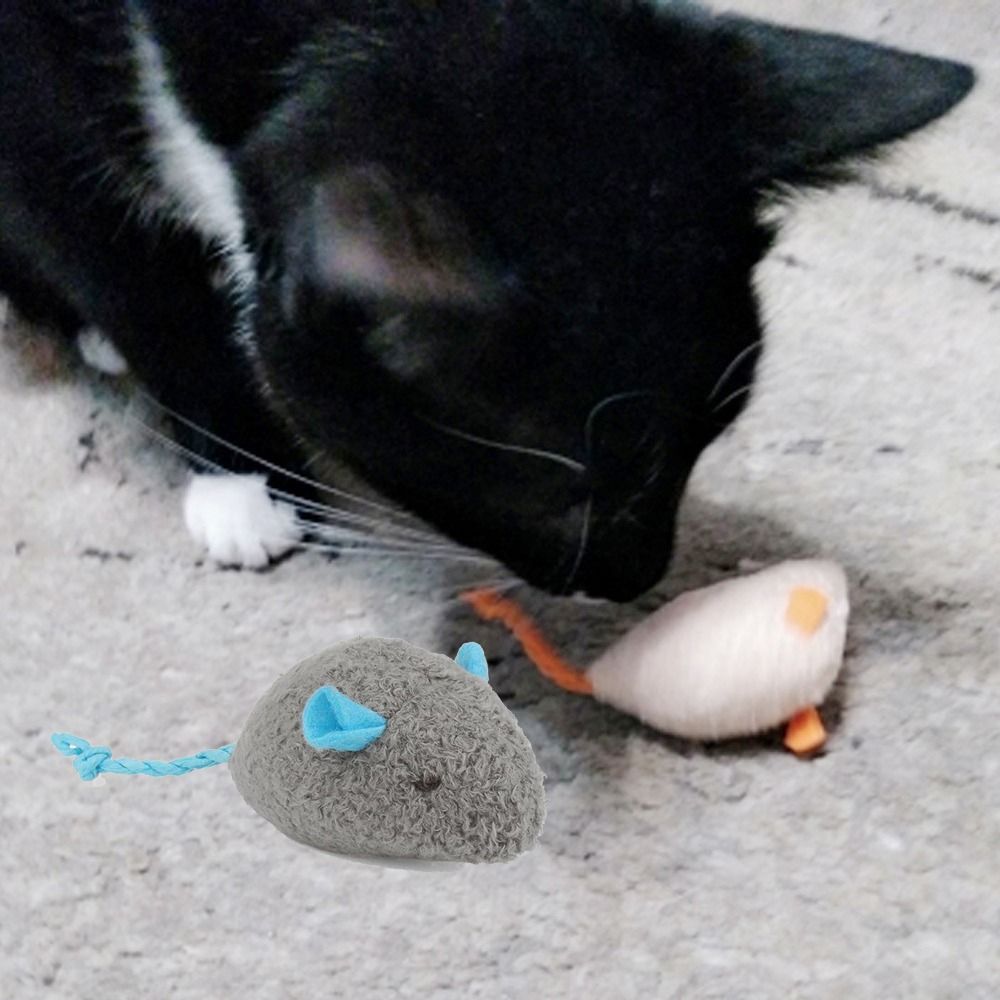 2 قطعة لعبة تدريب القطط التفاع - مراجعة Catnip Interactive Plush Mouse وسعره