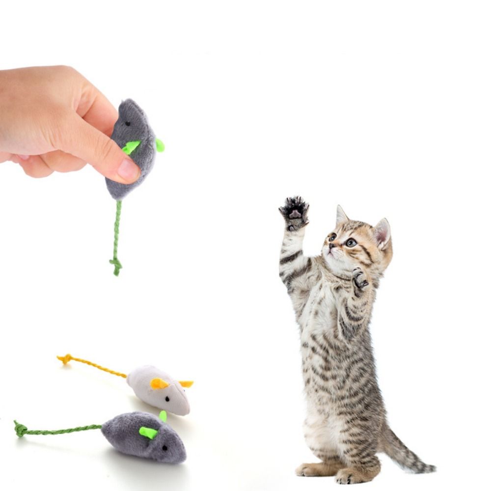 2 قطعة لعبة تدريب القطط التفاع - مراجعة Catnip Interactive Plush Mouse وسعره