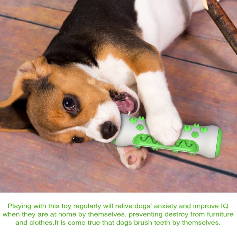 عصا تسنين للكلاب الأليفة، عظم  - مراجعة Teeth Cleaning Dog Chew Bone وسعره