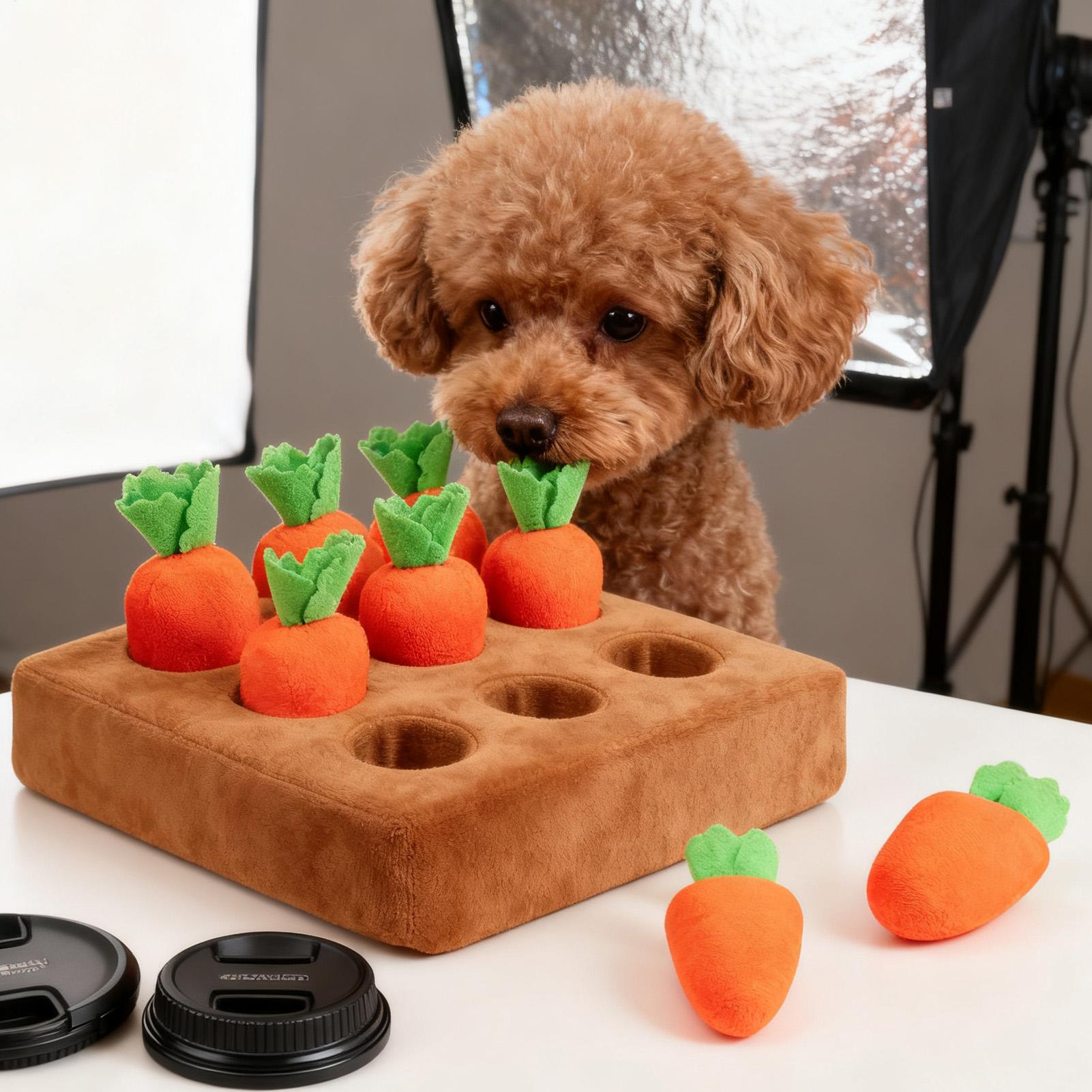 بساط التنفس للجراء، ألعاب تفاع - مراجعة Snuffle Mat For Dogs وسعره