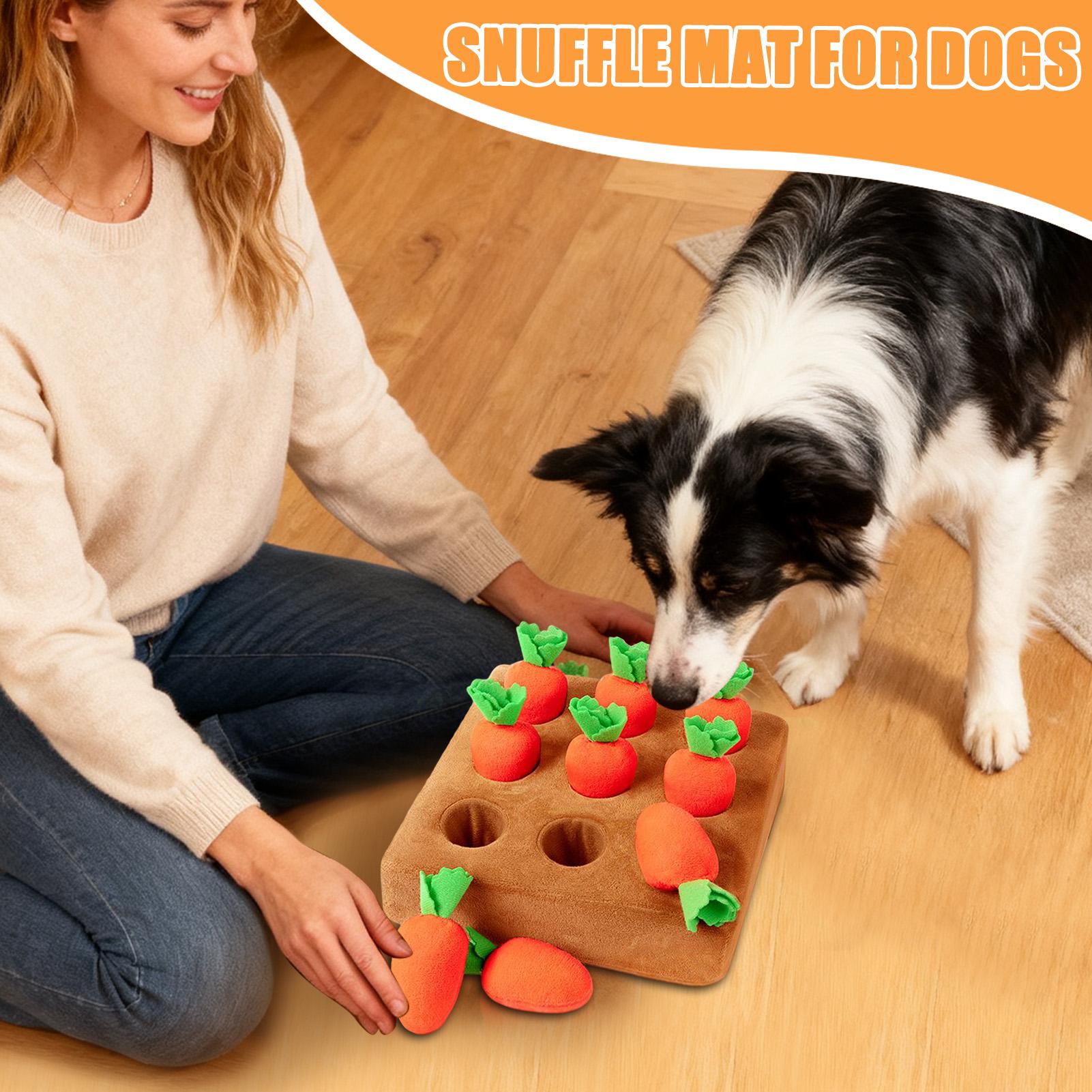 بساط التنفس للجراء، ألعاب تفاع - مراجعة Snuffle Mat For Dogs وسعره