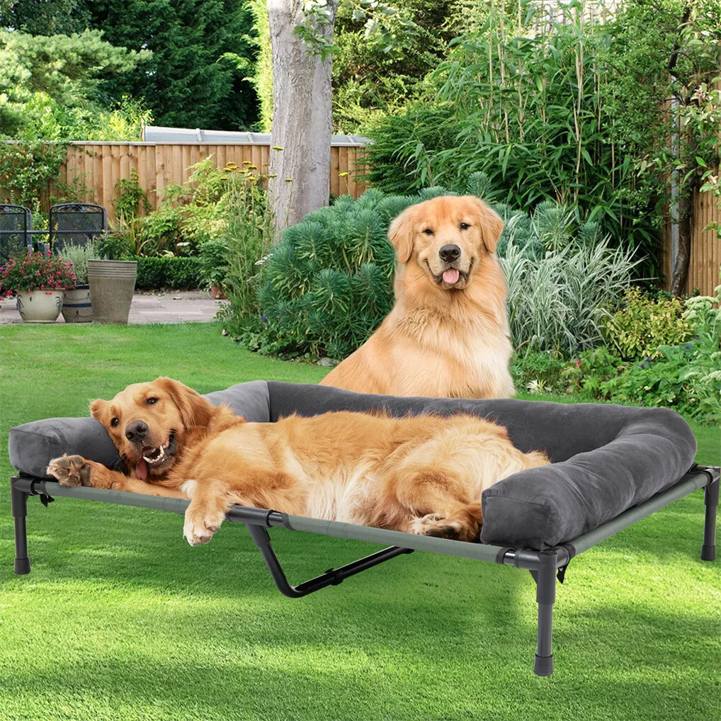 سرير كلاب خارجي مرتفع من BINGO - مراجعة Pet Beds وسعره