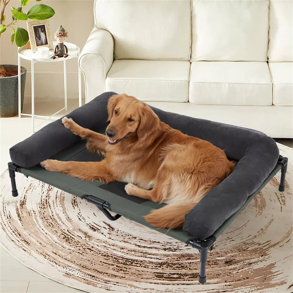 سرير كلاب خارجي مرتفع من BINGO - مراجعة Pet Beds وسعره