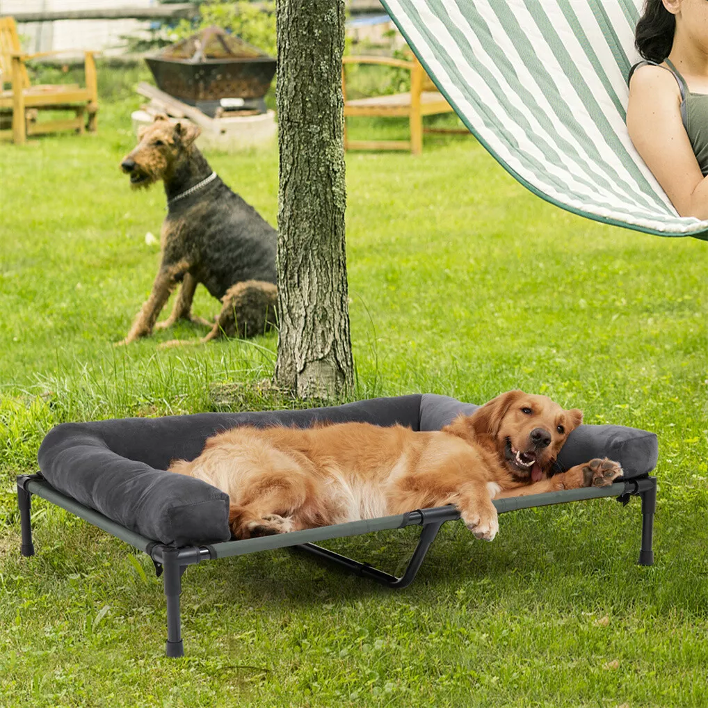 سرير كلاب خارجي مرتفع من BINGO - مراجعة Pet Beds وسعره