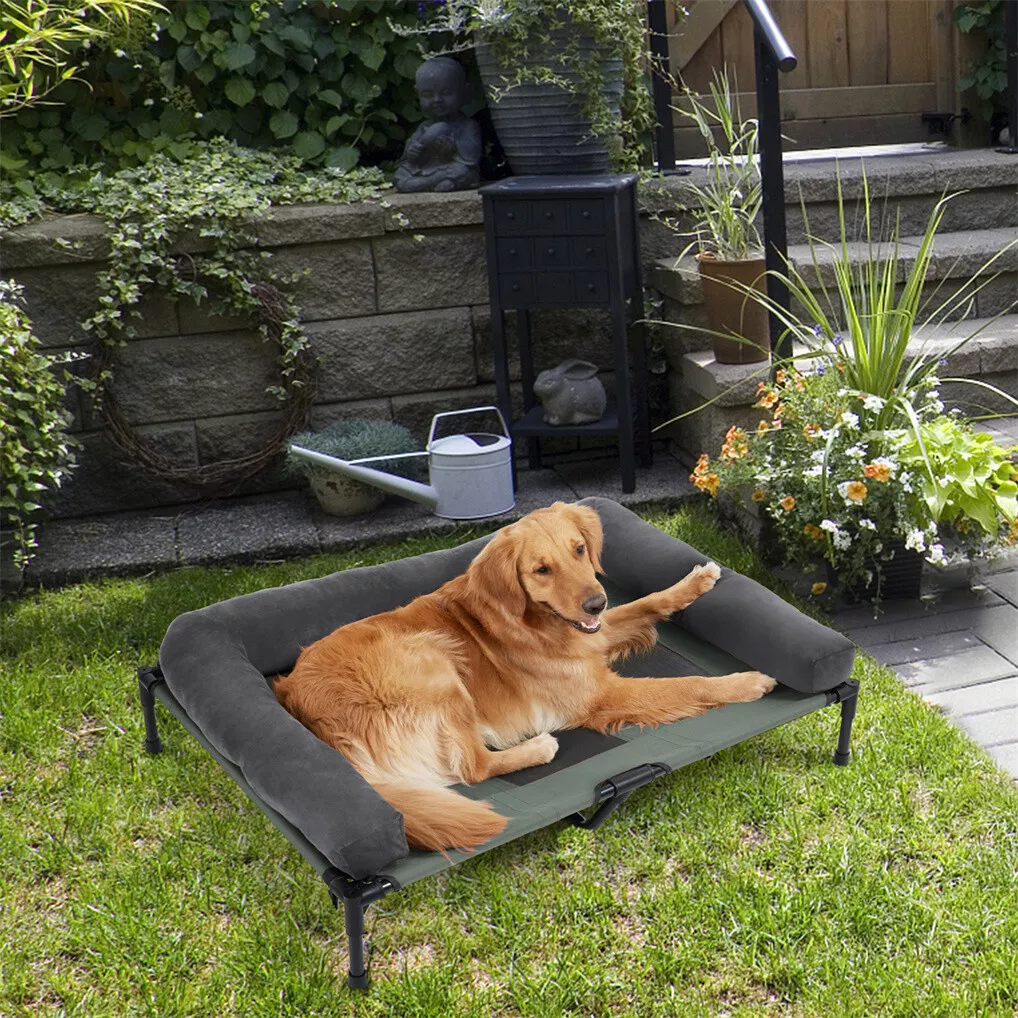 سرير كلاب خارجي مرتفع من BINGO - مراجعة Pet Beds وسعره