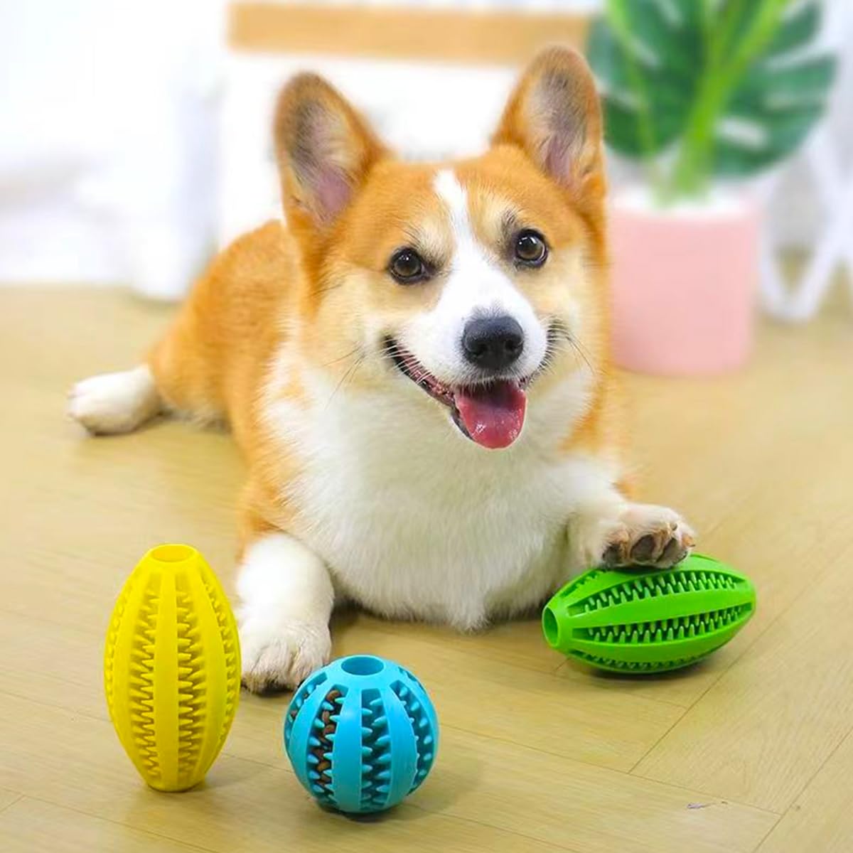 كلب مضغ اللعب تنظيف الأسنان وج - مراجعة Snuffle Mat For Dogs وسعره
