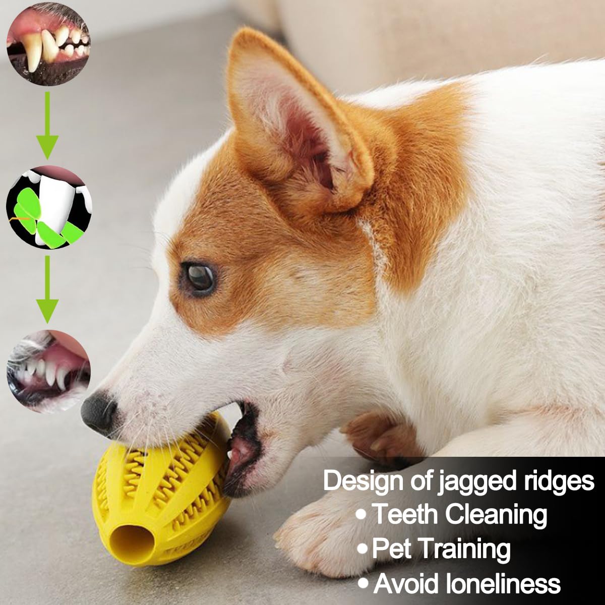 كلب مضغ اللعب تنظيف الأسنان وج - مراجعة Snuffle Mat For Dogs وسعره