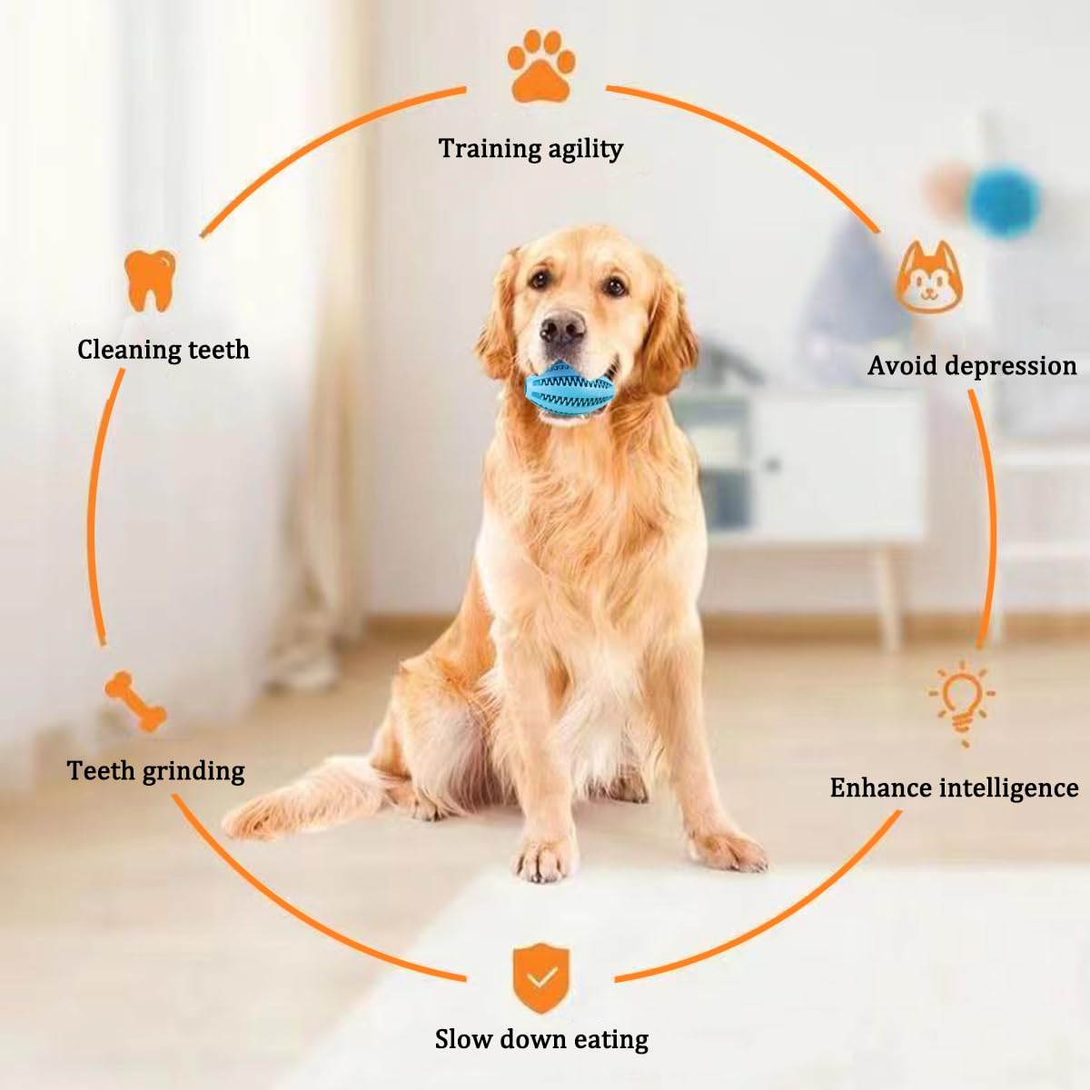 كلب مضغ اللعب تنظيف الأسنان وج - مراجعة Snuffle Mat For Dogs وسعره