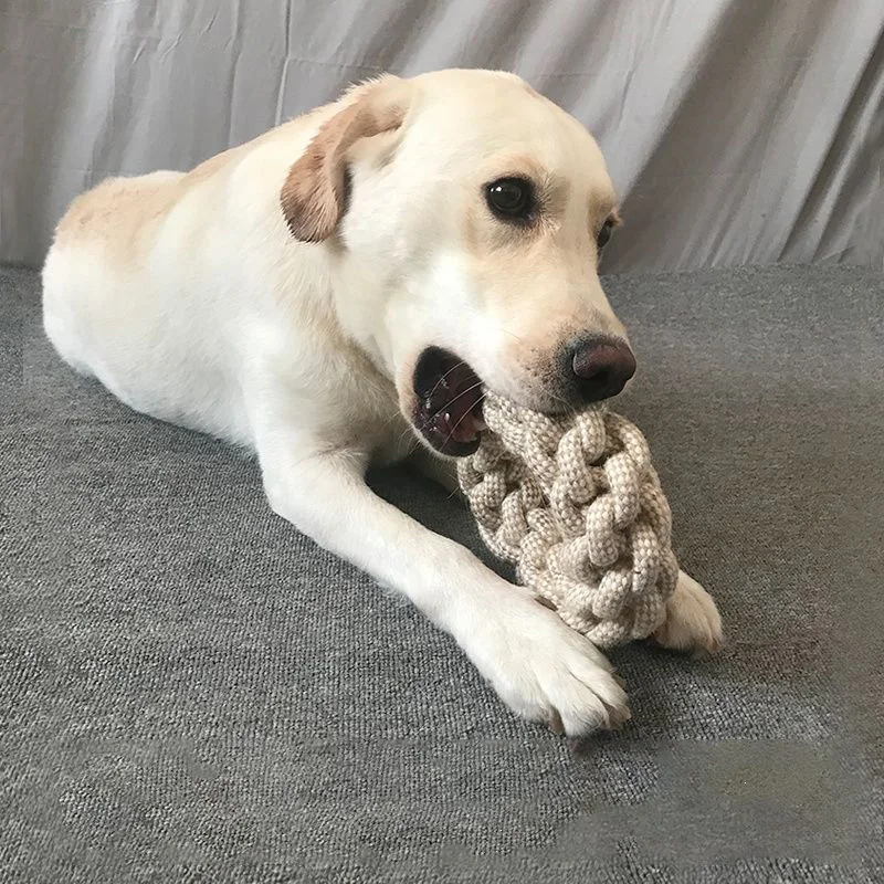 لعبة عقدة للقطط والكلاب لتنظيف - مراجعة Snuffle Mat For Dogs وسعره