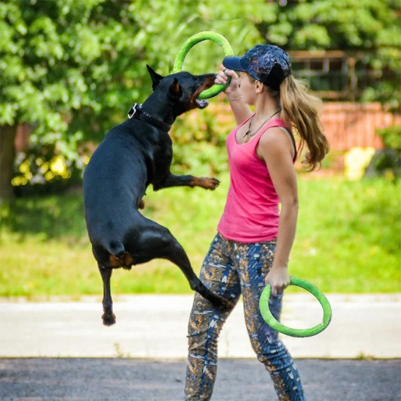 ألعاب الكلاب، أقراص طائرة للحي - مراجعة Flying Disc Dog Training Toy وسعره