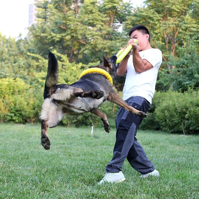 ألعاب الكلاب، أقراص طائرة للحي - مراجعة Flying Disc Dog Training Toy وسعره