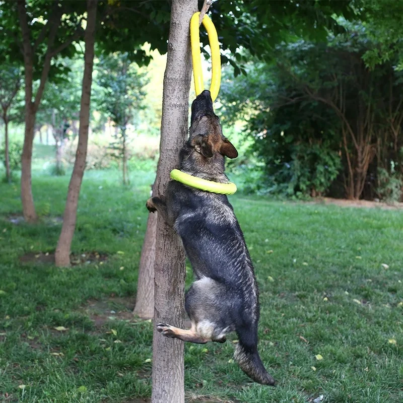 ألعاب الكلاب، أقراص طائرة للحي - مراجعة Flying Disc Dog Training Toy وسعره