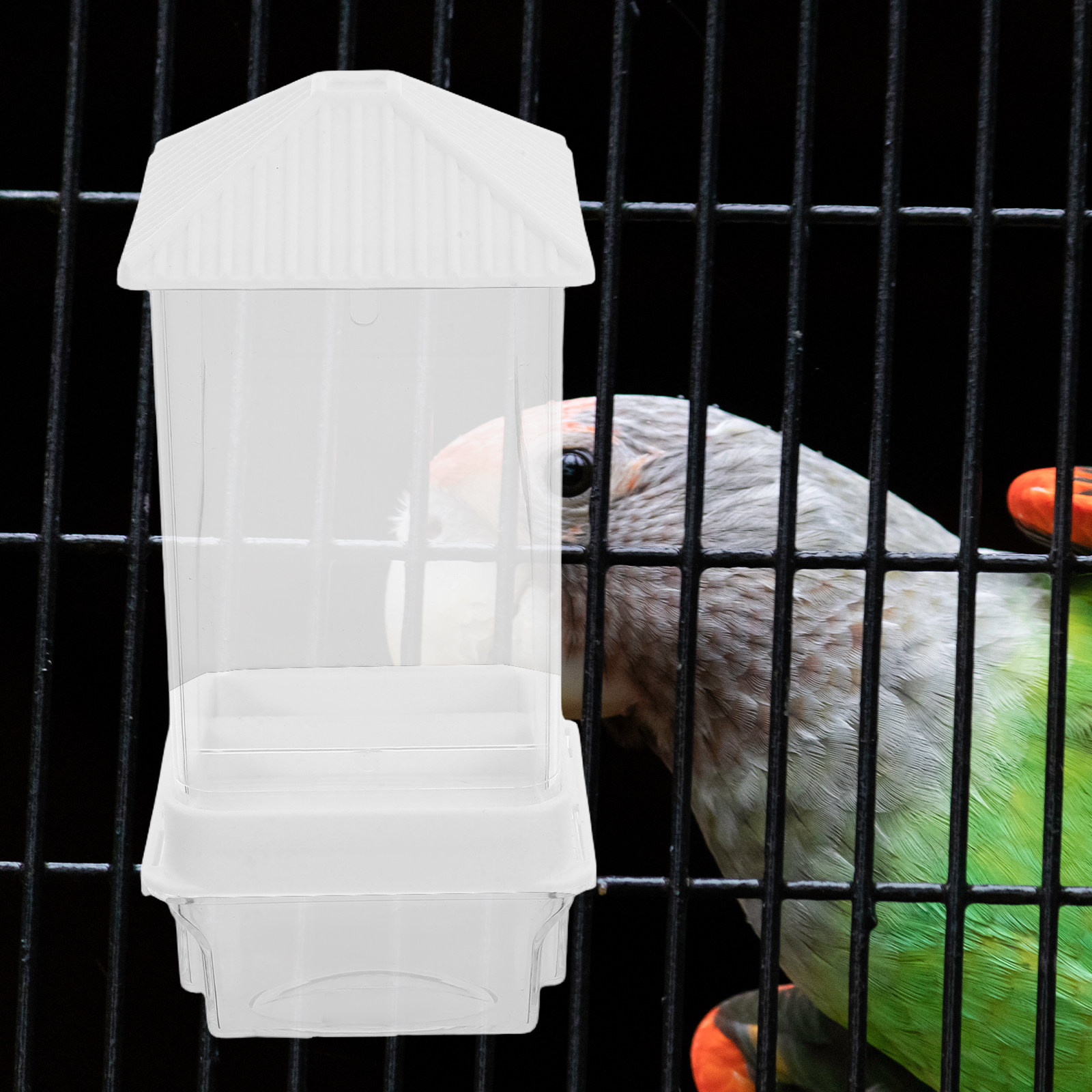 موزع طعام أوتوماتيكي للطيور من - مراجعة Pet Feeders وسعره