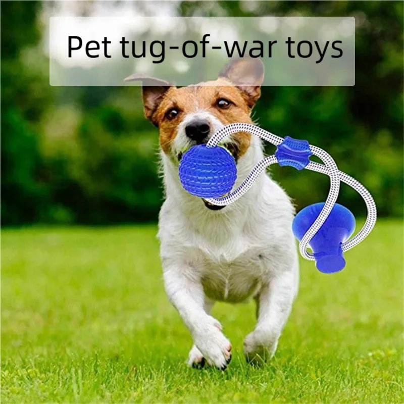 لعبة شفط متينة للكلاب، كرة مضغ - مراجعة Suction Cup Dog Tug Toy وسعره