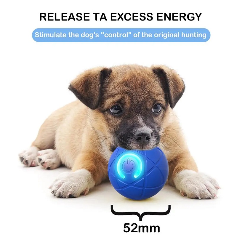 لعبة الكلب الكرة التفاعلية الم - مراجعة Suction Cup Dog Tug Toy وسعره