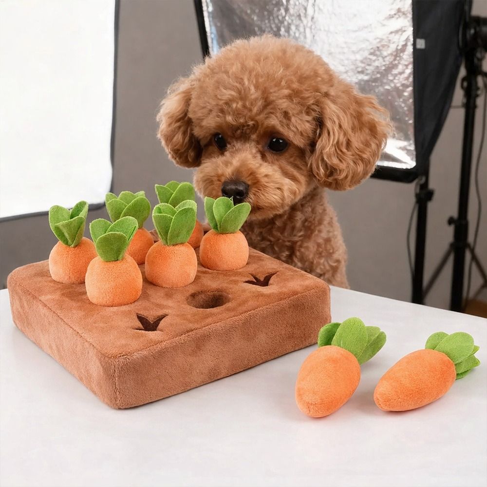 بساط تسلية للحيوانات الأليفة ع - مراجعة Snuffle Mat For Dogs وسعره
