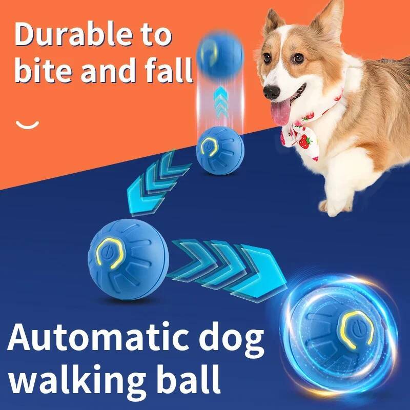 كرة لعبة ذكية للكلاب، لعبة إلك - مراجعة Automatic Moving Dog Ball وسعره