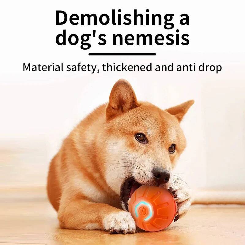 كرة لعبة ذكية للكلاب، لعبة إلك - مراجعة Automatic Moving Dog Ball وسعره
