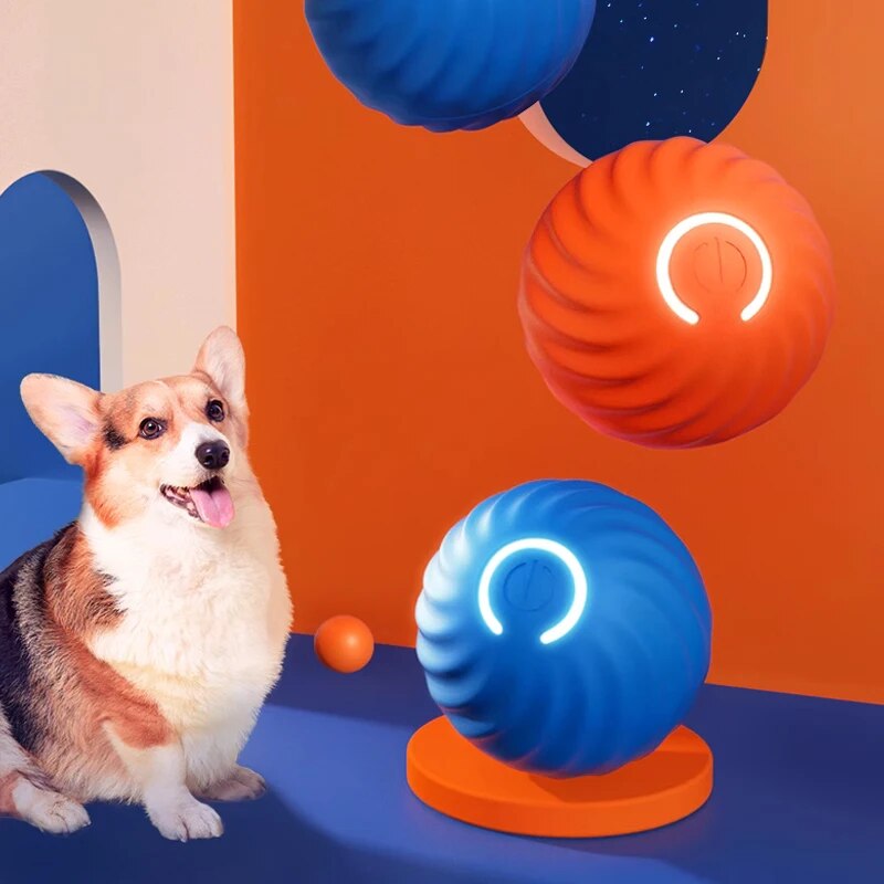ألعاب الكلاب كرة القفز الجاذبي - مراجعة Suction Cup Dog Tug Toy وسعره