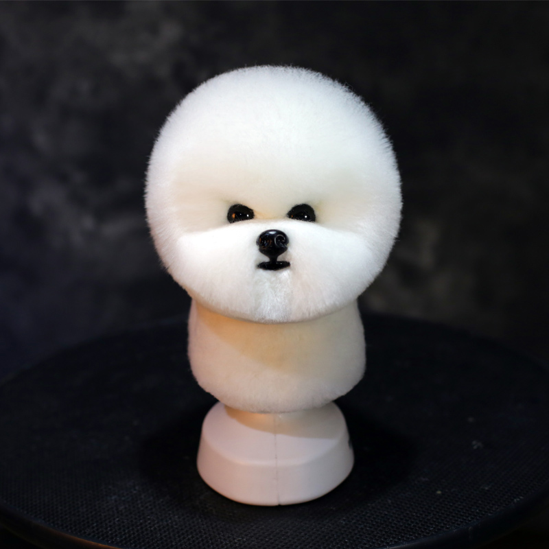 عارضة أزياء برأس كلب بيشون مع  - مراجعة Pet Grooming وسعره