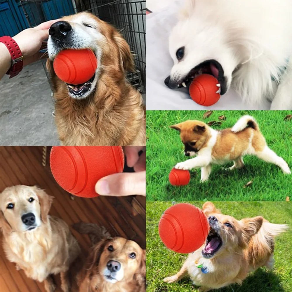 كرة صلبة مطاطية للحيوانات الأل - مراجعة Indestructible Dog Chew Toy وسعره