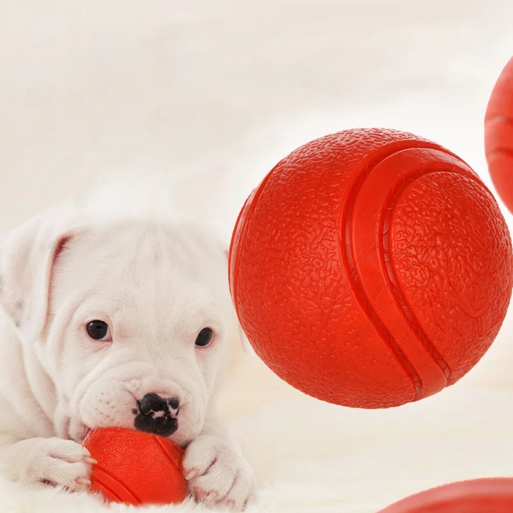 كرة صلبة مطاطية للحيوانات الأل - مراجعة Indestructible Dog Chew Toy وسعره