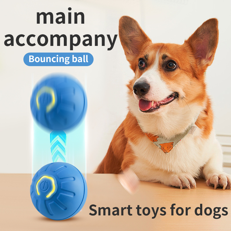 التلقائي تتحرك لعبة الكلب الكر - مراجعة Automatic Moving Dog Ball وسعره